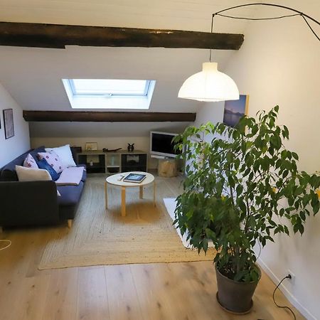 Ferienwohnung Petit-Coeur Charmant En Centre Ville Annecy Exterior foto