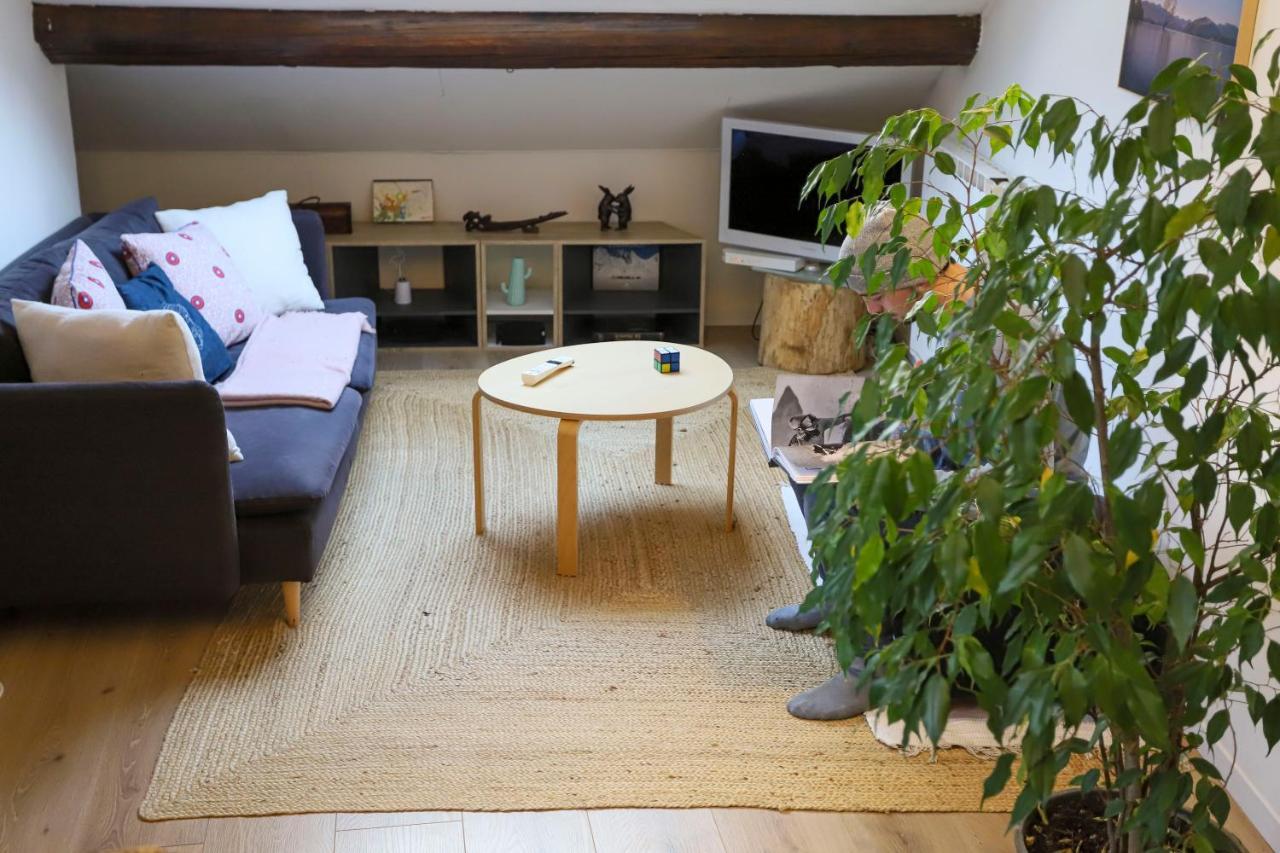 Ferienwohnung Petit-Coeur Charmant En Centre Ville Annecy Exterior foto