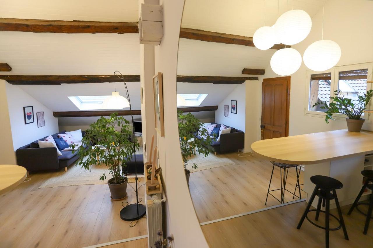 Ferienwohnung Petit-Coeur Charmant En Centre Ville Annecy Exterior foto
