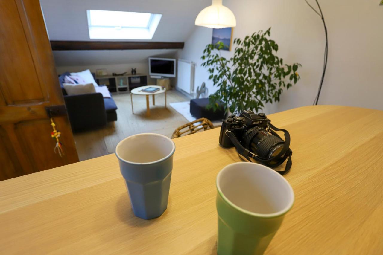 Ferienwohnung Petit-Coeur Charmant En Centre Ville Annecy Exterior foto